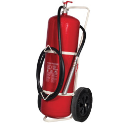 Estintore carrellato Kg. 100