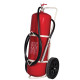 Estintore carrellato Kg. 50